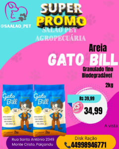 Areia Gato Bill