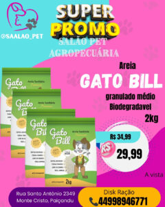 Areia Gato Bill