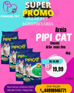 Areia Pipi Cat