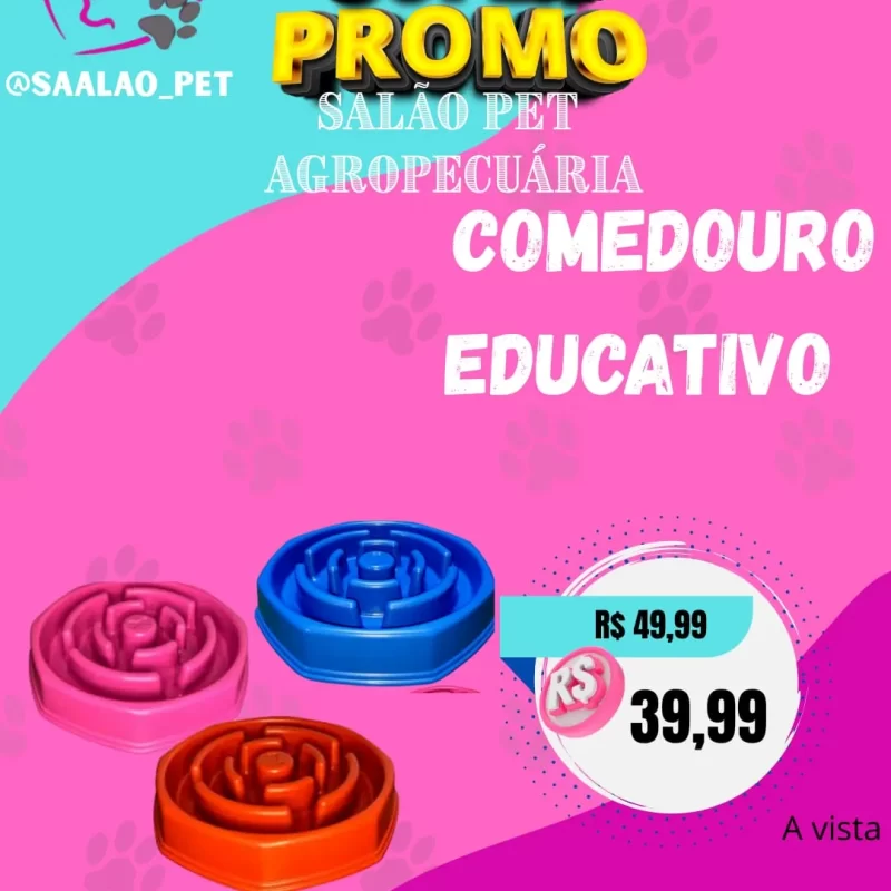 Comedouro Educativo