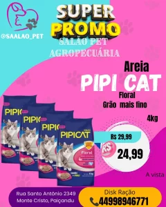 Areia Pipi Cat
