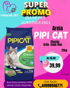 Areia Pipi Cat