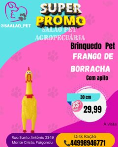 Brinquedo Pet Frango de Borracha