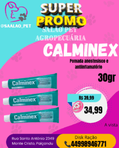 CALMINEX