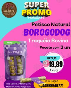 TRAQUEIA BOROGODOG