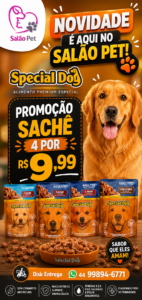 Sachê Special Dog 85g Promoção 4 por R$ 9,99